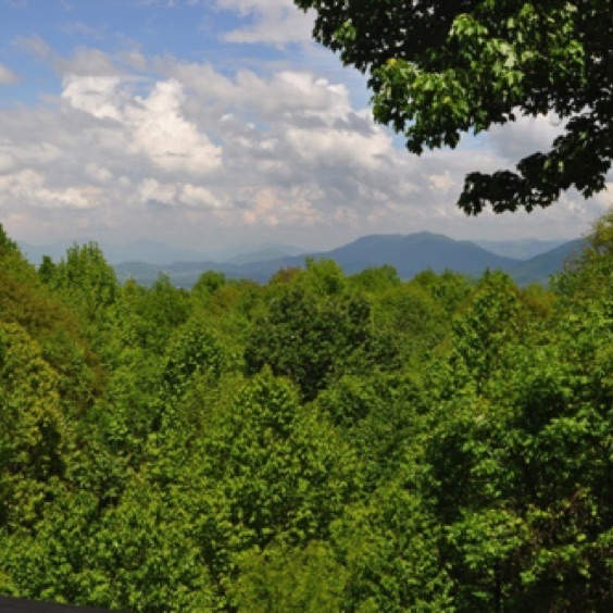 View East from Our Deck